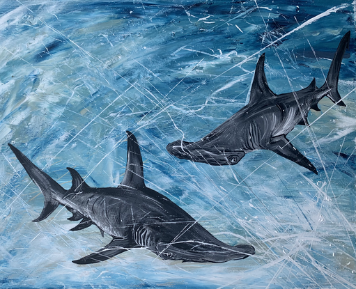 Two hammerhead sharks in shades of grey and black, swimming through an ocean of blues.