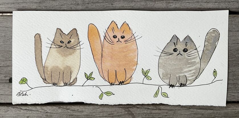 Three little cats against a white background