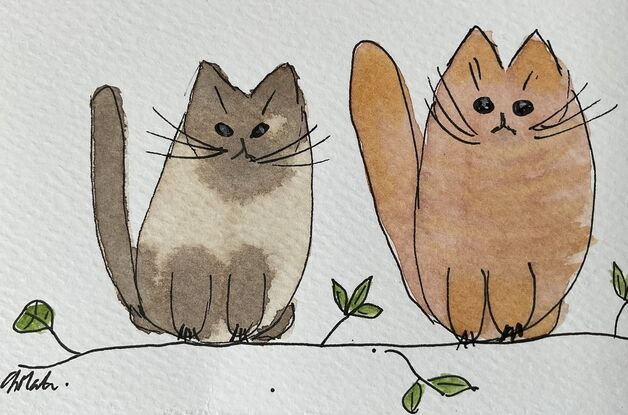 Three little cats against a white background