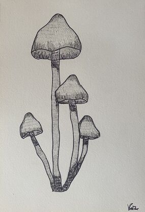 Three different mushrooms on each page