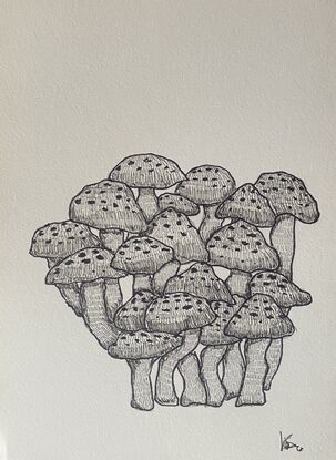 Three different mushrooms on each page