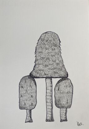 Three different species of mushrooms drawn with black pen. 