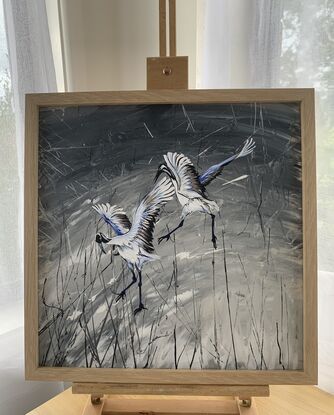 2 White and gray egrets flying on a silver and black background 