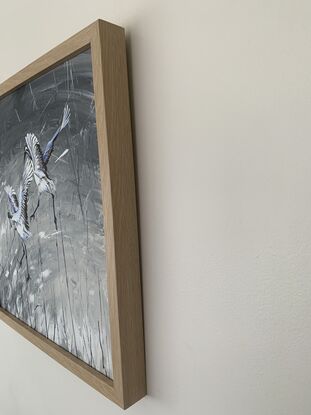 2 White and gray egrets flying on a silver and black background 