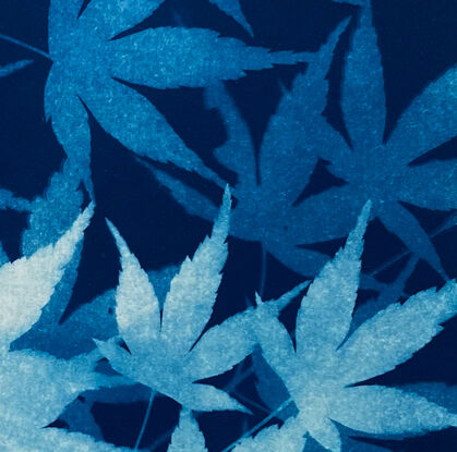 Image of branches of maple leaves in varying shades of blue. It is technically a photo but has the texture of a painting.