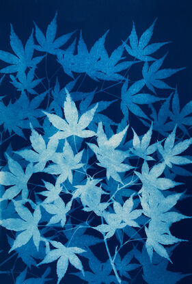 Image of branches of maple leaves in varying shades of blue. It is technically a photo but has the texture of a painting.