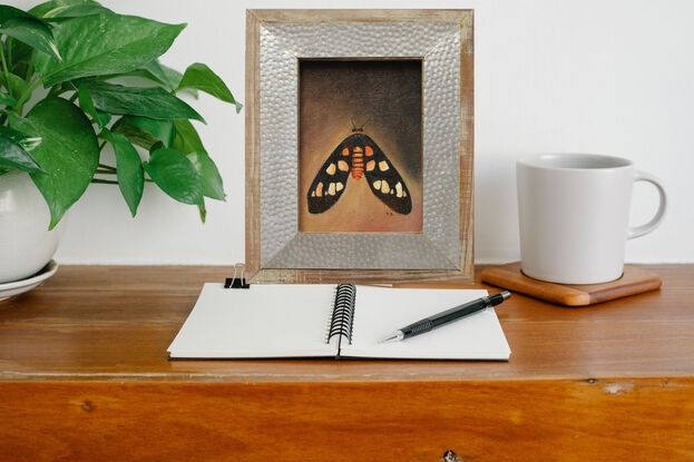 An orange and black tiger moth painted against a plain brown background.