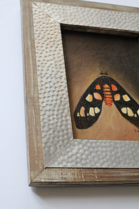 An orange and black tiger moth painted against a plain brown background.