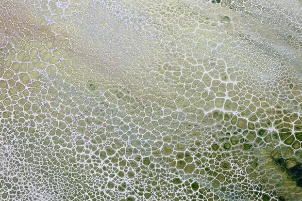 ABSTRACT painting that gives the impression of soothing ocean waves lapping in to soft sandy beach with slow easy waves creating crests of white..  The intricate mosaic pattern within the tonal jade green hues hues plus the glimmering metallics adds added interest and intrigue like soft waves gathering in at shore.
The closer you get to the painting the more of the interesting details and patterns you can see. Metallics add an extra depth because the painting changes personality when one views from different angles.
although it is an impressionistic abstract, it still has a sense of motion of waves moving and frothing white shoreline