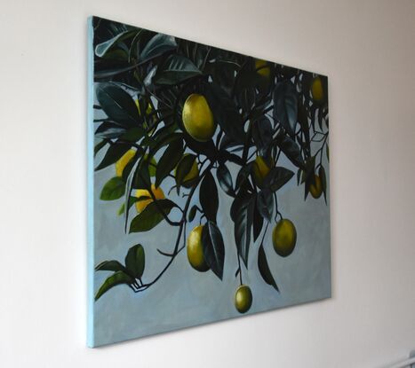 Several ripe oranges hang from the limbs of an orange tree in an almost triangular formation against a silvery grey backdrop