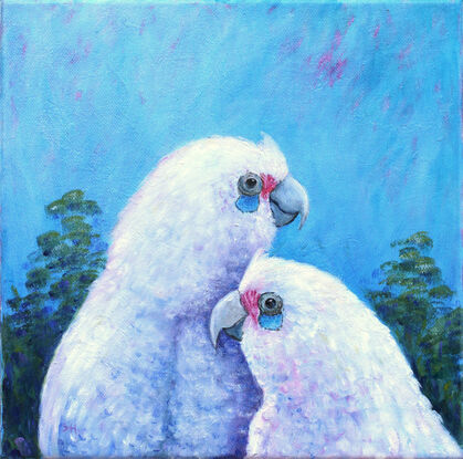 Two white corellas nestling each other against a blue sky background