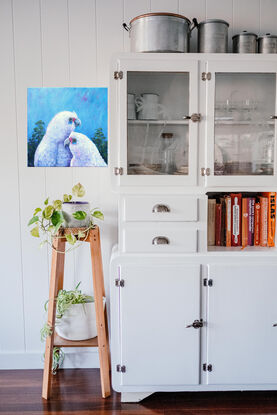 Two white corellas nestling each other against a blue sky background