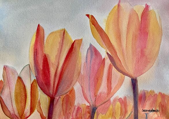 artwork showing a close up of a tulip field