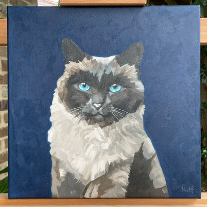 Fluffy, dark faced cat on a square, dark blue stretched canvas