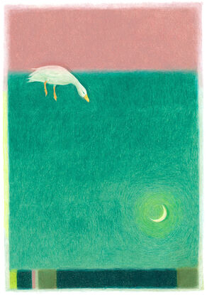 A duck swimming between two large bands of colour, one pink and one green, with a glowing crescent moon floating in the middle