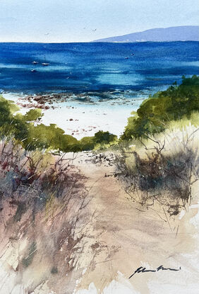 A sandy track leading to a beach near Canal Rocks in the south of WA. 