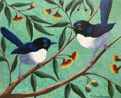 Two Willy Wagtails chattering away on branches with red gum blossoms and gum leaves in the background. Background is a soft pale green.