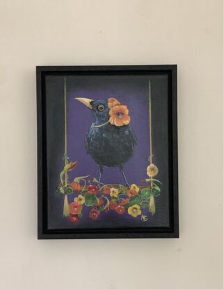 Black raven with purple background on nasturtium swing wearing nasturtium bonnet