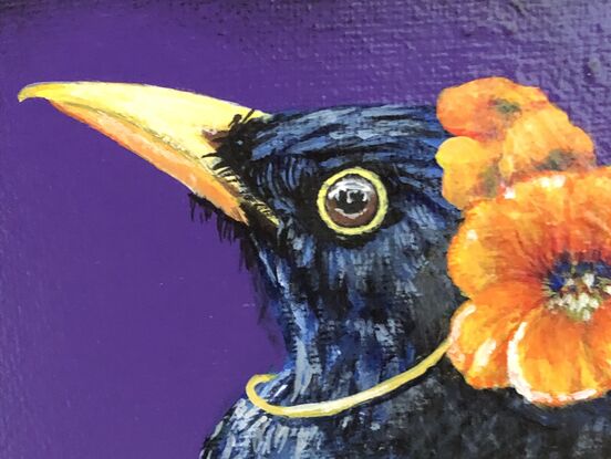 Black raven with purple background on nasturtium swing wearing nasturtium bonnet