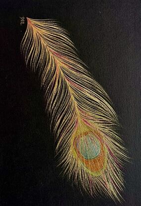 Original watercolour peacock feather painting