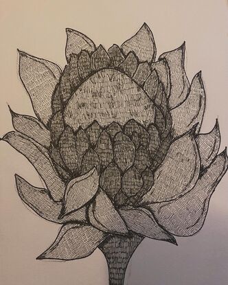 A pink duke protea and a pink gum blossom are on two separate pages both made using black graphic marker with dashes. 