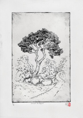 A black and white etching of a tree in a garden, drawn in an illustrative and minimalist style.