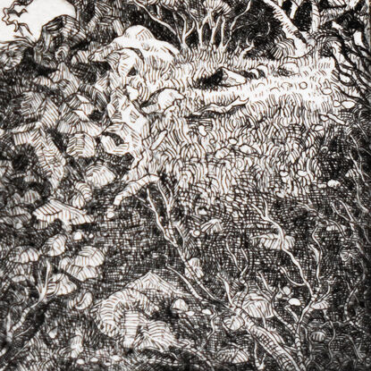 A highly detailed etching of a gnarled tree atop a rocky hill with stones and shrubs in the foreground.