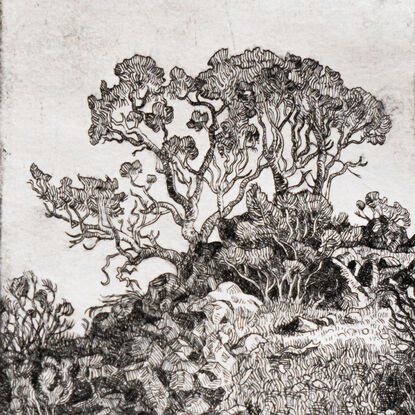 A highly detailed etching of a gnarled tree atop a rocky hill with stones and shrubs in the foreground.