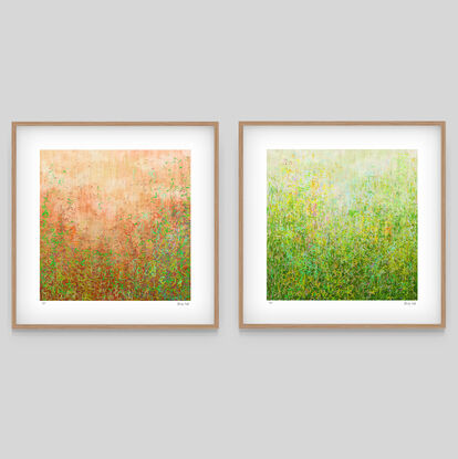 'Garden Series' Blushing Garden and Summer Garden-  set of 3' has been released as a limited edition print of 35.