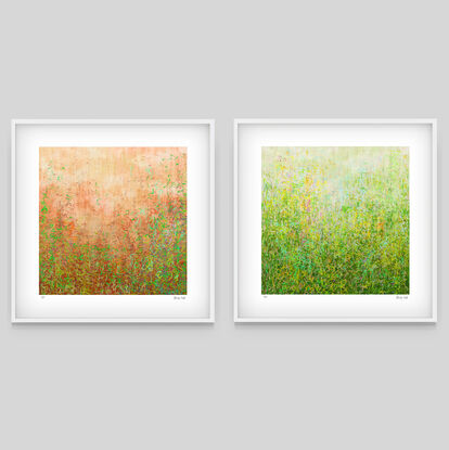 'Garden Series' Blushing Garden and Summer Garden-  set of 3' has been released as a limited edition print of 35.