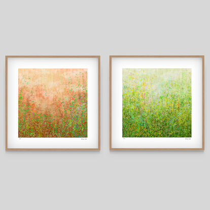 'Garden Series' Blushing Garden and Summer Garden-  set of 3' has been released as a limited edition print of 35.