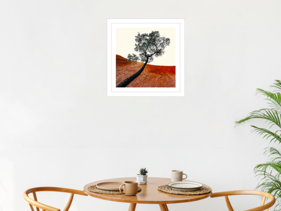 Black framed print of tree in outback australia.