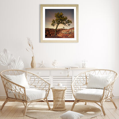 Black framed print of lone ghost gum tree in outback australia.