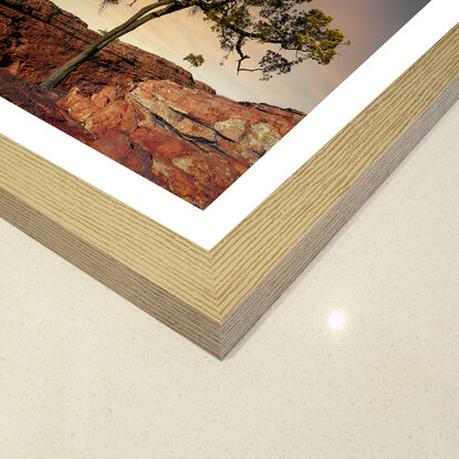 Black framed print of lone ghost gum tree in outback australia.