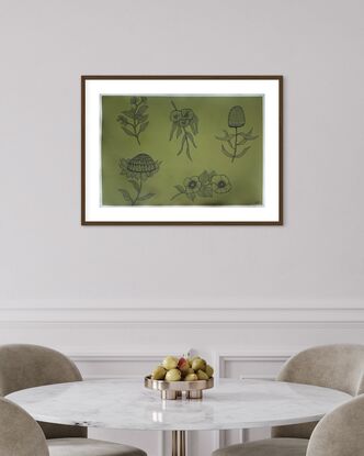 Five native Australian flowers are drawn in black pen with dashes. The background is Olive green paper.