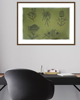 Five native Australian flowers are drawn in black pen with dashes. The background is Olive green paper.