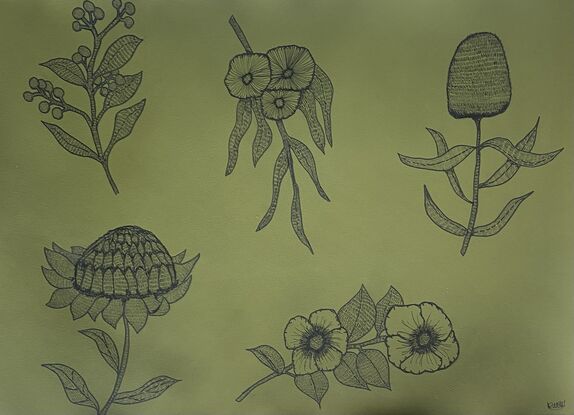 Five native Australian flowers are drawn in black pen with dashes. The background is Olive green paper.