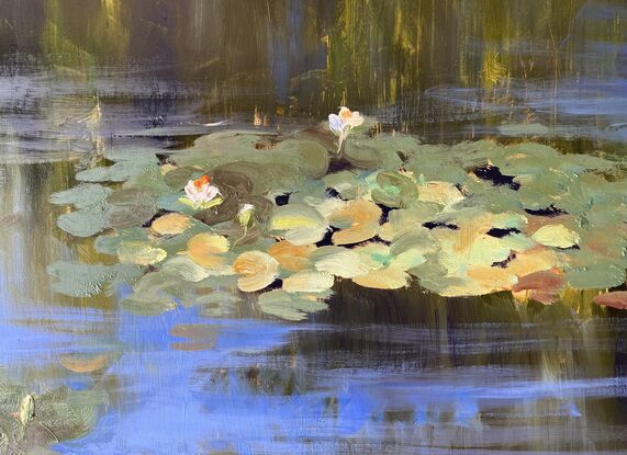 Lilly pad, pond, water lilies, blue water, blues and greens, reflections on water