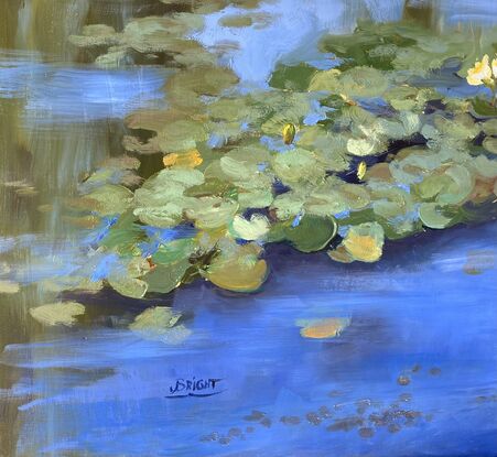 Lilly pad, pond, water lilies, blue water, blues and greens, reflections on water