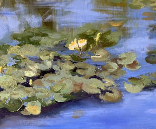 Lilly pad, pond, water lilies, blue water, blues and greens, reflections on water