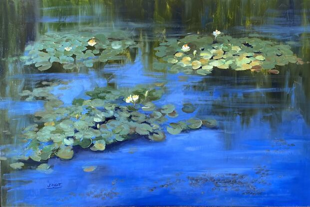 Lilly pad, pond, water lilies, blue water, blues and greens, reflections on water