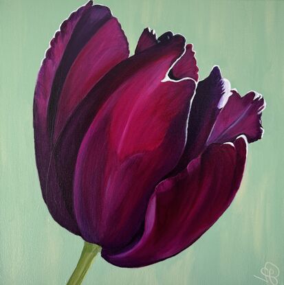 Single burgundy tulip painting with pale mint background