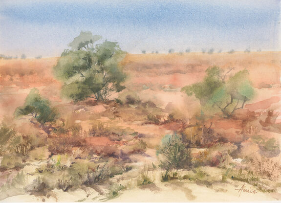 Mallee country terrain of red soils and low growing shrubs and trees