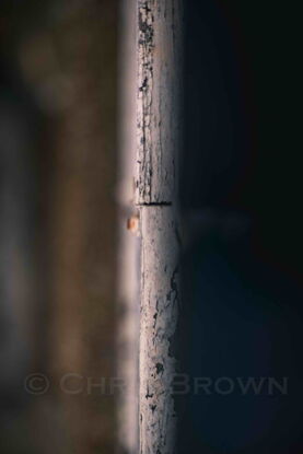 Suburban street weathered and cracked white timber fence with deep blue background