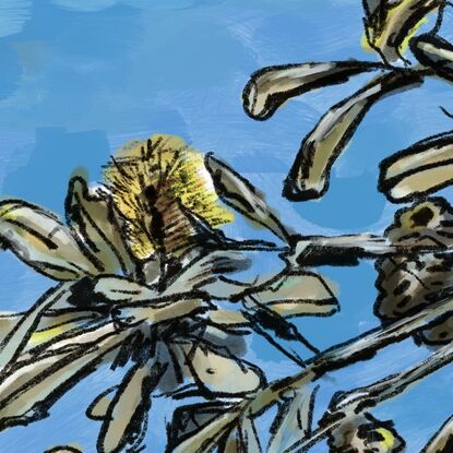 Illustrated and painted tree with yellow banksia flowers and seed pods on a bright blue sky background.