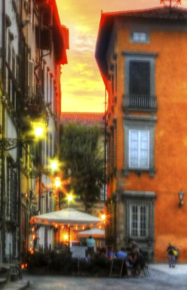 Inviting sunlit still life of sunflowers, Tuscany, Italy