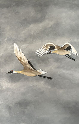 A small flock of cranes flying across a cloudy sky.