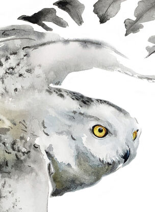 The white owl is a beacon of purity as it soars with wings stretched wide.