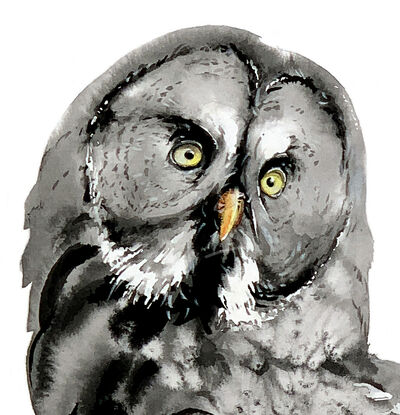 With wide and sparkling eyes, the owl radiates an insatable curiosity that knows no bounds.