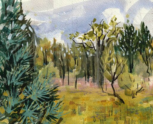 An arid meadow dotted with native Australian black pines bakes in the midday sun in this contemporary watercolour made en plein air. 